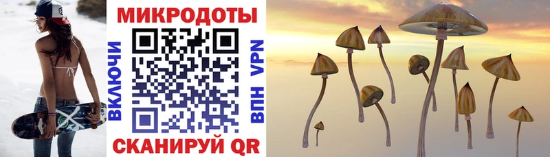 площадка как зайти Усинск Галлюциногенные грибы Psilocybine cubensis магазин продажи